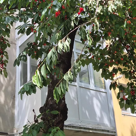 Apartament Rovine Craiova Exterior foto