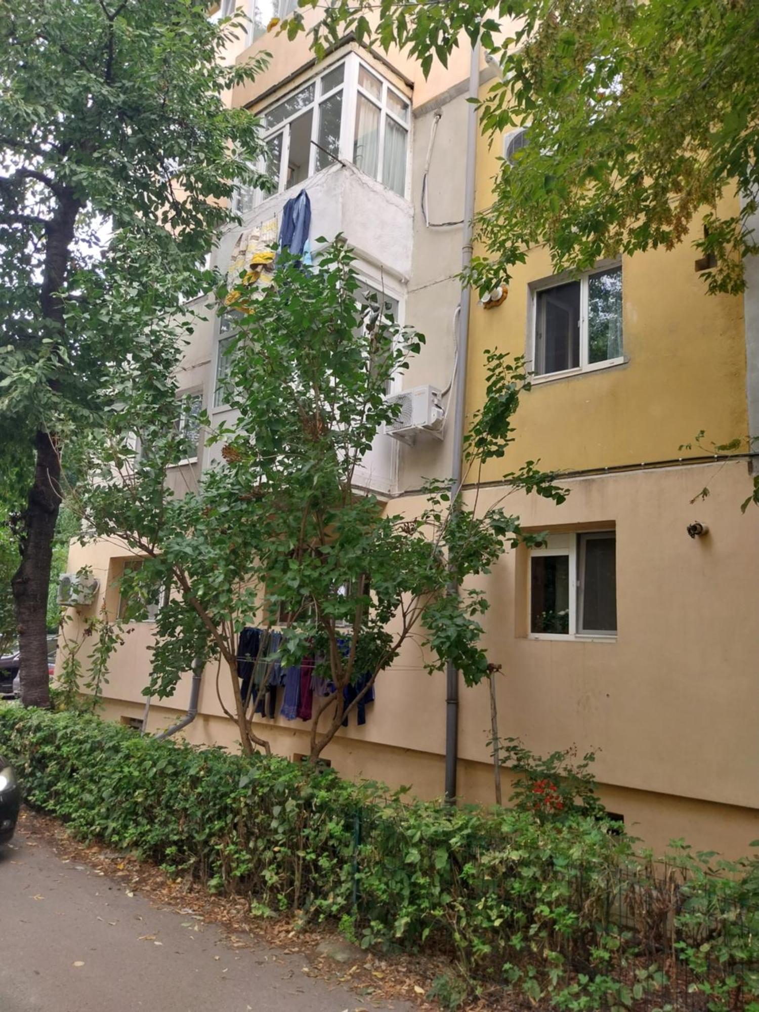 Rovine * Craiova
